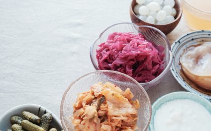 variety of fermented probiotic foods for gut health